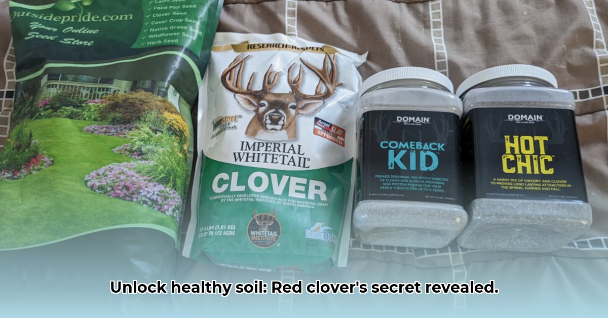 red-clover-seed-tractor-supply